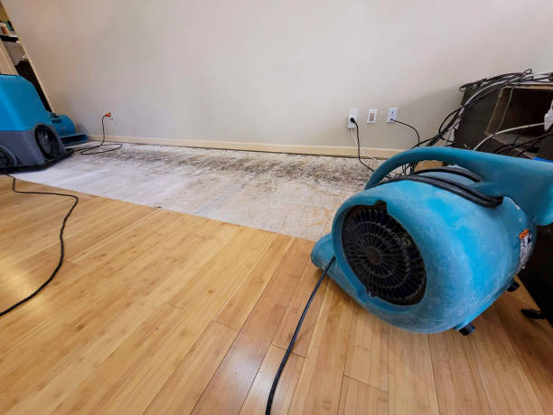 Professional Flood Damage Cleanup technician working in Santa Rosa, NM